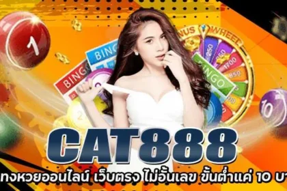 หวยcat888